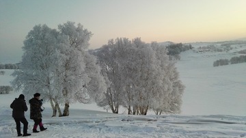 IMG_20151213_072213