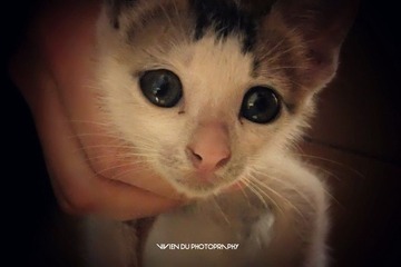 光线太暗的杯具。