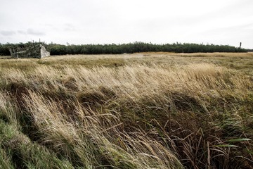 _IGP2983