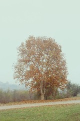 IMG_1766.JPG