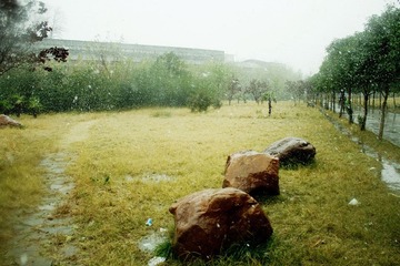 森林公园行纪IMG_1834.JPG