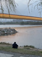 5164C508-8B8D-4D0A-8EF7-49AF142FD4B6/L0/001