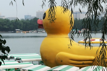 红豆