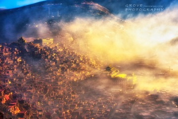 _DSC0950-Y