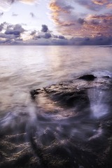 _DSC3565