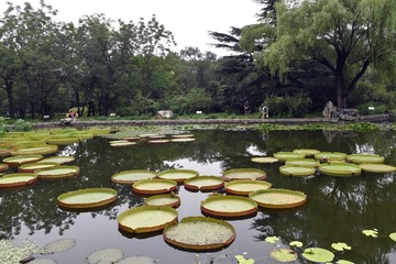 黑云压城