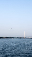 EDAC9397-F0F9-4320-B0C4-893313BB0B61/L0/001