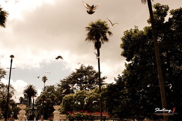Let the dream take off from here