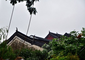 DSC_1498.jpg