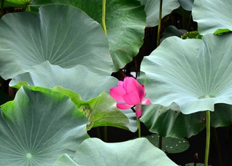 DSC_1639.jpg
