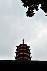 DSC_1589.jpg