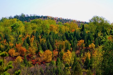 DSC_6596.jpg