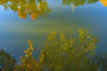 DSCF0353.jpg