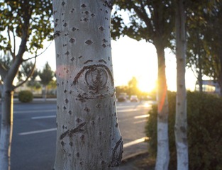 DSCF0357.jpg