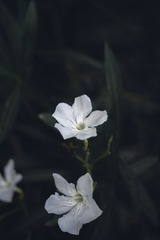 390868