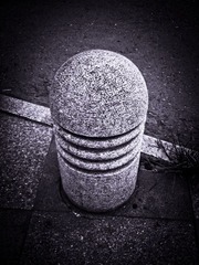 WP_000012.jpg