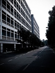WP_000029.jpg