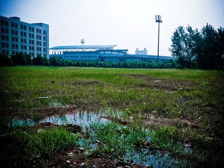 WP_000036.jpg