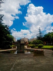 WP_000073.jpg
