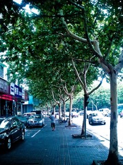WP_000087.jpg