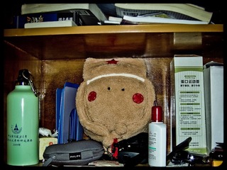 DSCN0196.jpg