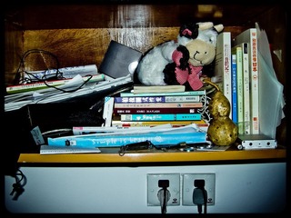 DSCN0198.jpg