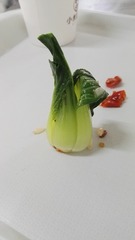 1307223