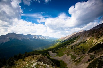 IMG_7062.jpg