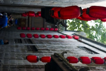 _DSC1556