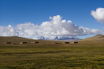 岗城耀