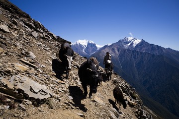 On the High pass