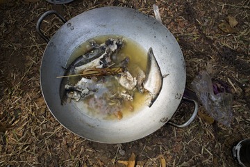 Fish-2