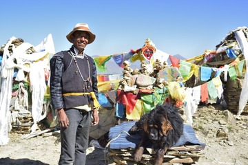 Local person with his Tibetan Mastiff near Yamdork-tso(for tourist to take photos every photo 5 yuan)