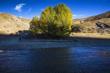 _90A1216