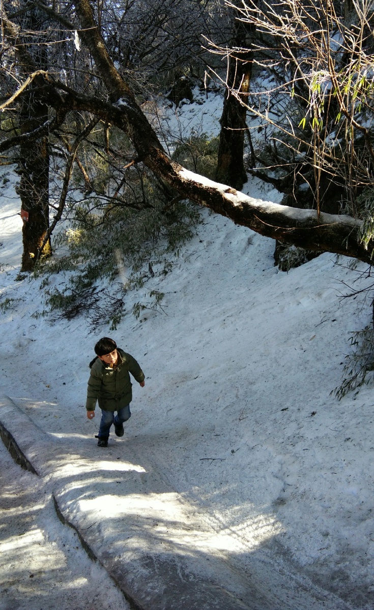 从峨眉山上下来 一路踉踉跄跄 生怕脚下打滑 却瞅见他 干净