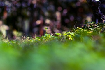 DSC_3799.jpg