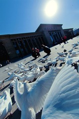 DSC_1124.jpg