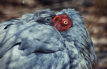 DSC_1388.jpg