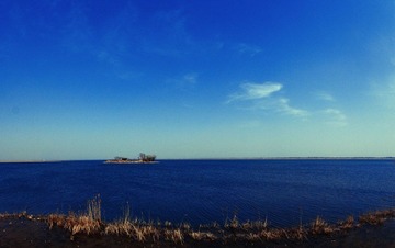 DSC_2157.jpg