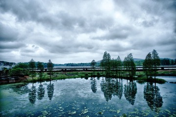 DSC_0819.jpg