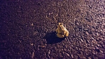 DSC_1819.jpg