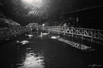 DSC_3693.jpg