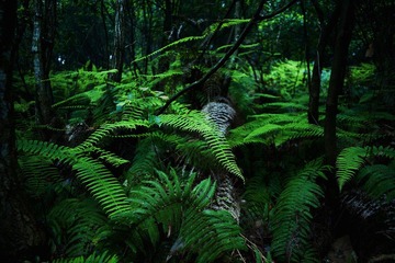 DSC_3699.jpg