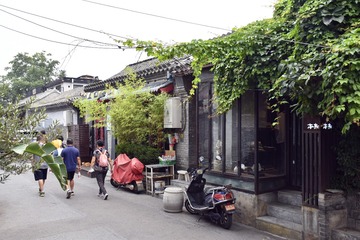 花花草草