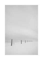 217758_1355070240
