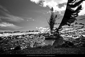 DSC09745bw