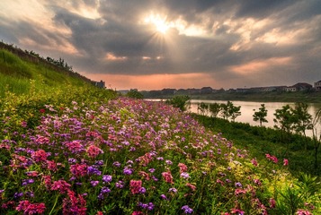 _MG_4590-22