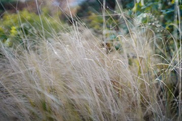97A77BA9-E34E-4C85-8FA8-4BBB3B47EC5A/L0/001