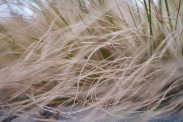 0E1F895D-AAB4-4E7E-8E6C-DD813FD2A26A/L0/001
