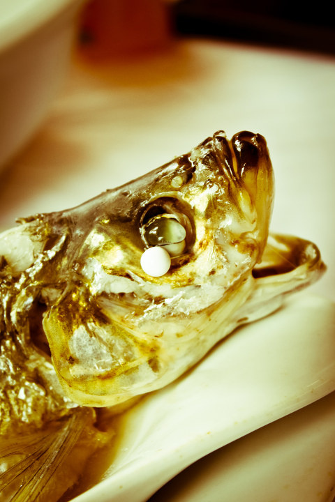 静物 鱼头 佳能